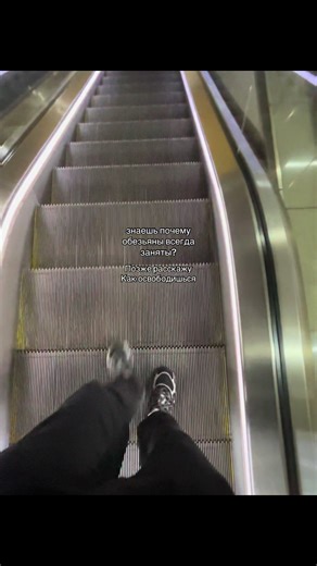 ᴀ (@sata1rov)’s video of monkey