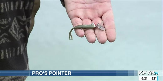 Pro’s Pointer #5 - chatter bait