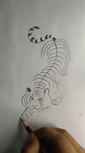 how to draw a tiger drawing step by step easy #art #drawingpainting #virelshorts #shorts