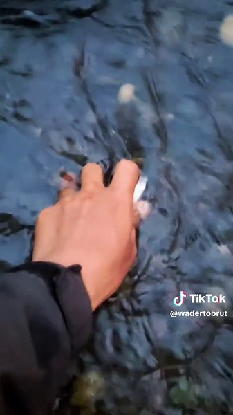 Mancing Wader: Tips dan Teknik Sukses