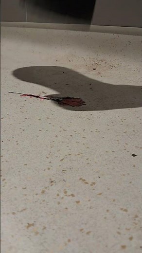 Giantess stomp (GORE)