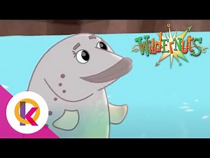 🌰 🚀 ✨ Wildernuts - Sure As Eggs Is Eggs | S1 E24 | Kids Learning | Educational Cartoon | Cartoon