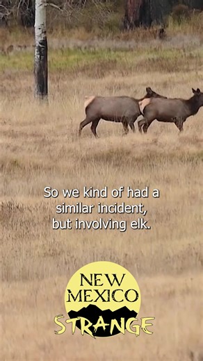 Happy Halloween! Watch the full episode and more at https://www.krqe.com/digital-shows/nm-strange/aliens-of-northern-new-mexico-dead-elk-and-the-dulce-base/?utm_medium=social&utm_source=facebook_KRQE_News_13 #newmexico #albuquerque #hunting #aliens #mystery #halloween | KRQE News 13