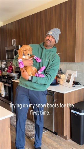 POLLY💗 | Golden Retriever x English Cocker Spaniel on Instagram: "High heels on my tippies 👠🐾💄 #goldencockerretriever #goldenretriever #englishcockerspaniel #puppylife #pollypocket"