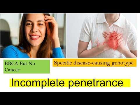 Incomplete Penetrance|BRCA1 & BRCA2|Human Genetics| Why Some BRCA Mutation Carriers Don’t Get Cancer