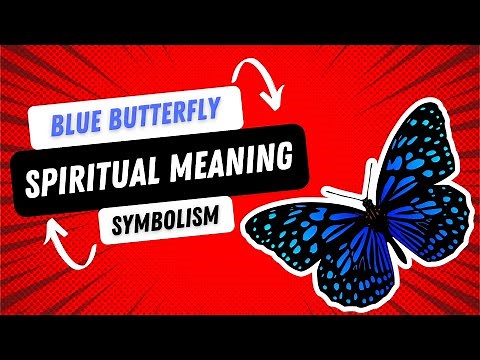 Blue Butterfly Meaning: Powerful Symbolism & Spiritual Significance #butterflies