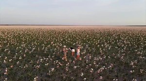 9K views · 1.3K reactions |  For Namibia, From Namibia  :: Namibia : Your Next Destination! :: Credit : Venture Media | Namibia Travel & Tourism Forum | Facebook