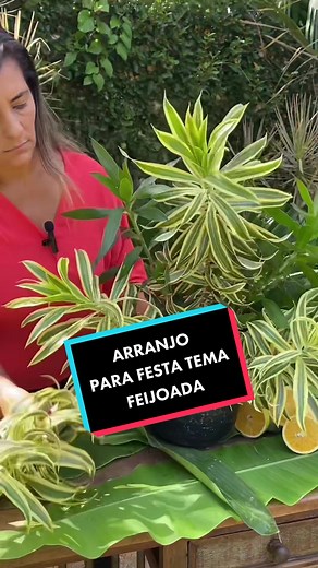 Arranjo Para Festa com Tema Feijoada