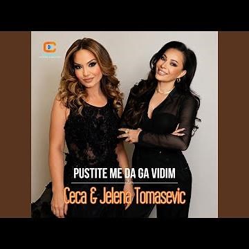 Pustite me da ga vidim (Live)