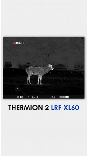 Thermion 2 LRF XL60 is a perfect device for foxing, predator and pest control. #pulsarvision