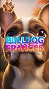 French Bulldog: A Heartwarming History and Interesting Facts about the Breed 🐾
