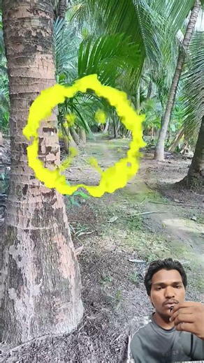 Touch the Tree 🌳🌟