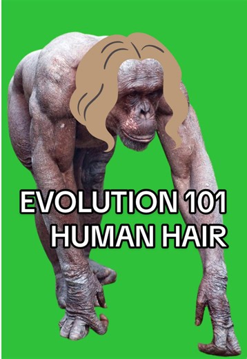Understanding Why Humans Have Long Hair on Their Heads