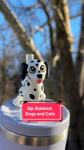 Top Dog Breeds: Which One Is Your Favorite?
