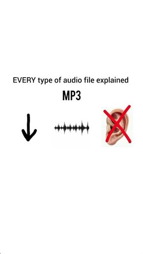 EVERY type of audio file explained.