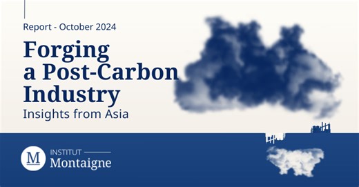 Forging a Post-Carbon Industry: Insights from Asia