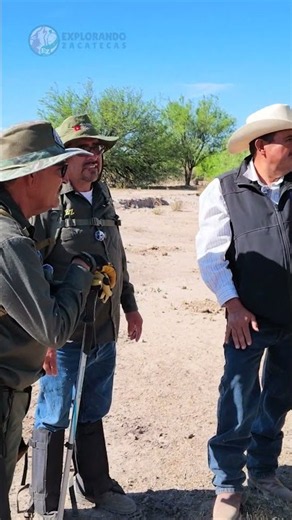 Llegó la TEMPORADA del MEZQUITE #exploracion #zacatecas