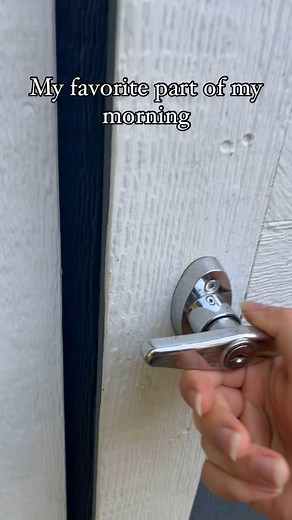 200K views · 54K reactions | Oatmeal is always determined to be the...