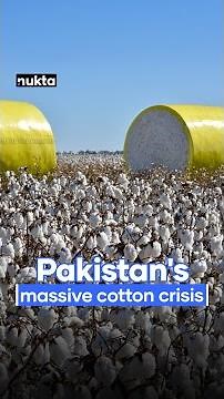 From Fifth-Biggest Producer to Crisis: Pakistan's Cotton Woes in 2025 | Nukta