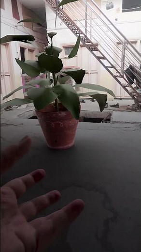 R&D with Houdini - RBD and Velum grain Simulation #vfx #houdini #render