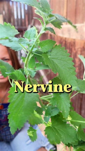 1.5K reactions · 25 comments | Anxiety isn’t just in your head — it’s...