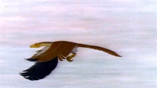 Scientists reveal what’s driving evolution in the modern world