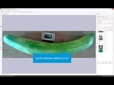 How to measure the size of your cucumber