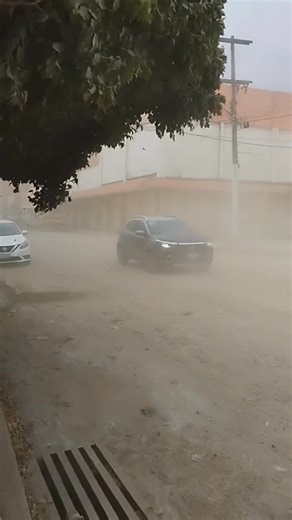 - 19 días después de la inundacion en #PozaRica,Veracruz -Parece The Walking Dead 😅 Video de Julia Martos | Hola Veracruz