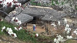 The.Return.of.Iljimae..2009 E022