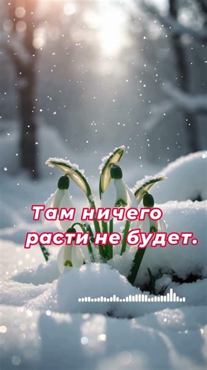 Не возвращайтесь. #selfimprovement