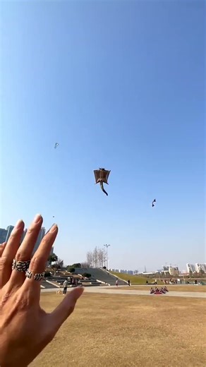 Playing With a Sugar Glider the Wrong Way? 😅 #SugarGlider #CutePets #DoNotTryThis