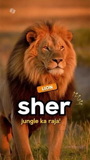 Wild Animals #shorts