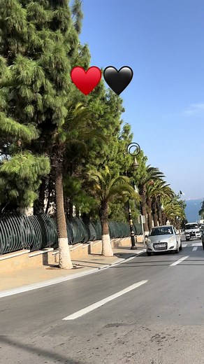 L’Algéroise sur TikTok