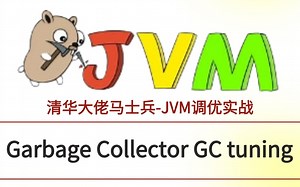 马士兵主讲JVM调优：Garbage Collector GC tuning
