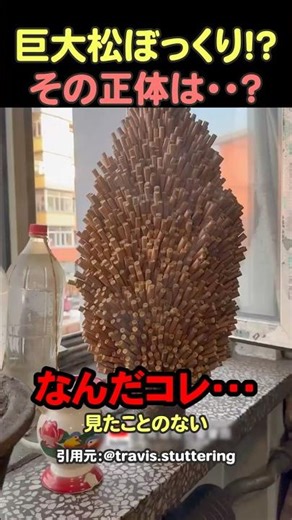 [Caution: Viewer discretion is advised] The true identity of something that looks like a giant pi...