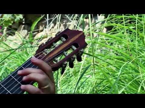 guitarist mallorca
