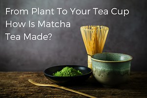 From Plant to Cup: How Matcha Tea is Made