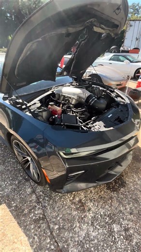 2017-18 Chevrolet Camaro SS Cam Sound! 🪓🪓🪓 #cars #cammedcamaro #chevrolet #automobile #camaross