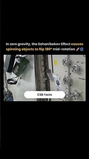 The Dzhanibekov Effect Explained 🤯 | The Mind-Bending Flip of Physics in Zero Gravity 🚀