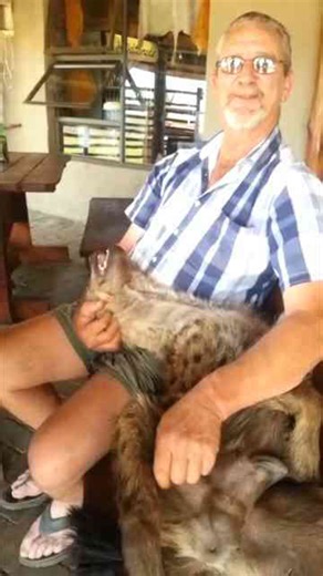 Cuddling with a friendly hyena