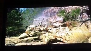 Lone survivor helicopter scene