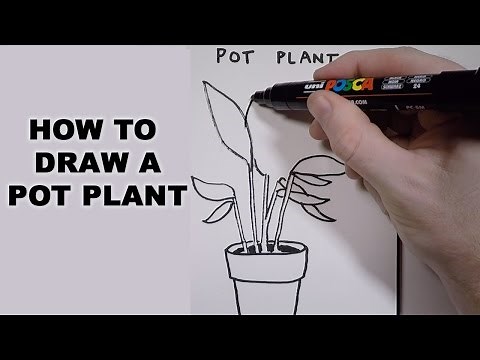 How to Draw a Pot Plant