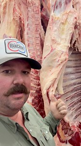 A look from inside the processing plant after dropping off the steers! #ButcherSteers #KeepRanchin #KingOfTikTok #RanchLife #Ranch #Cattle #CommercialCattle #EatBeef #Beef #Feedlot #FreezerBeef | Bar 7 Ranch