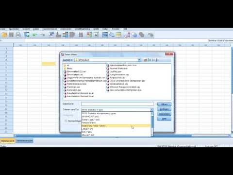Daten von Excel in SPSS importieren