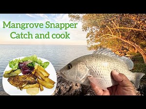 Mangrove Snapper catch and cook from shore in Florida Keys.