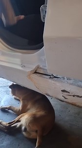 😁😁😁😁 #GPC #peinture #auto #batna #mastic #outillages #detailing | Gpc Guettai