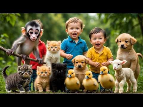 Funny Animals Dance Rhyme | Cutest baby Dance | | Kids Rhymes | Funny Kids Videos