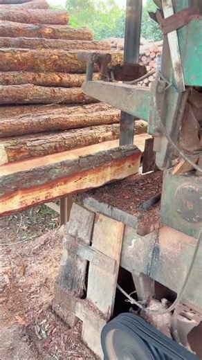 Raw Power: Slicing Massive Logs with an Industrial Bandsaw