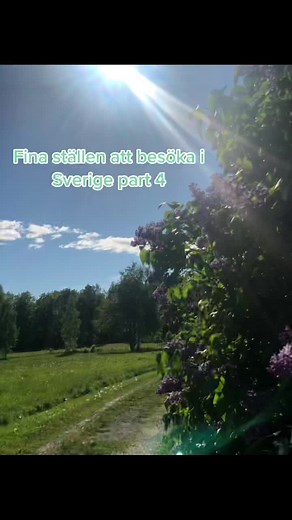 Gotland🌸 #sweden🇸🇪 #gotland #foryou #swedishsummer #4u