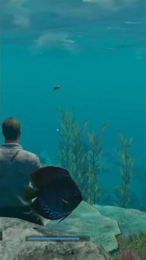 Stranded Deep_Just Watching The Action #gaming